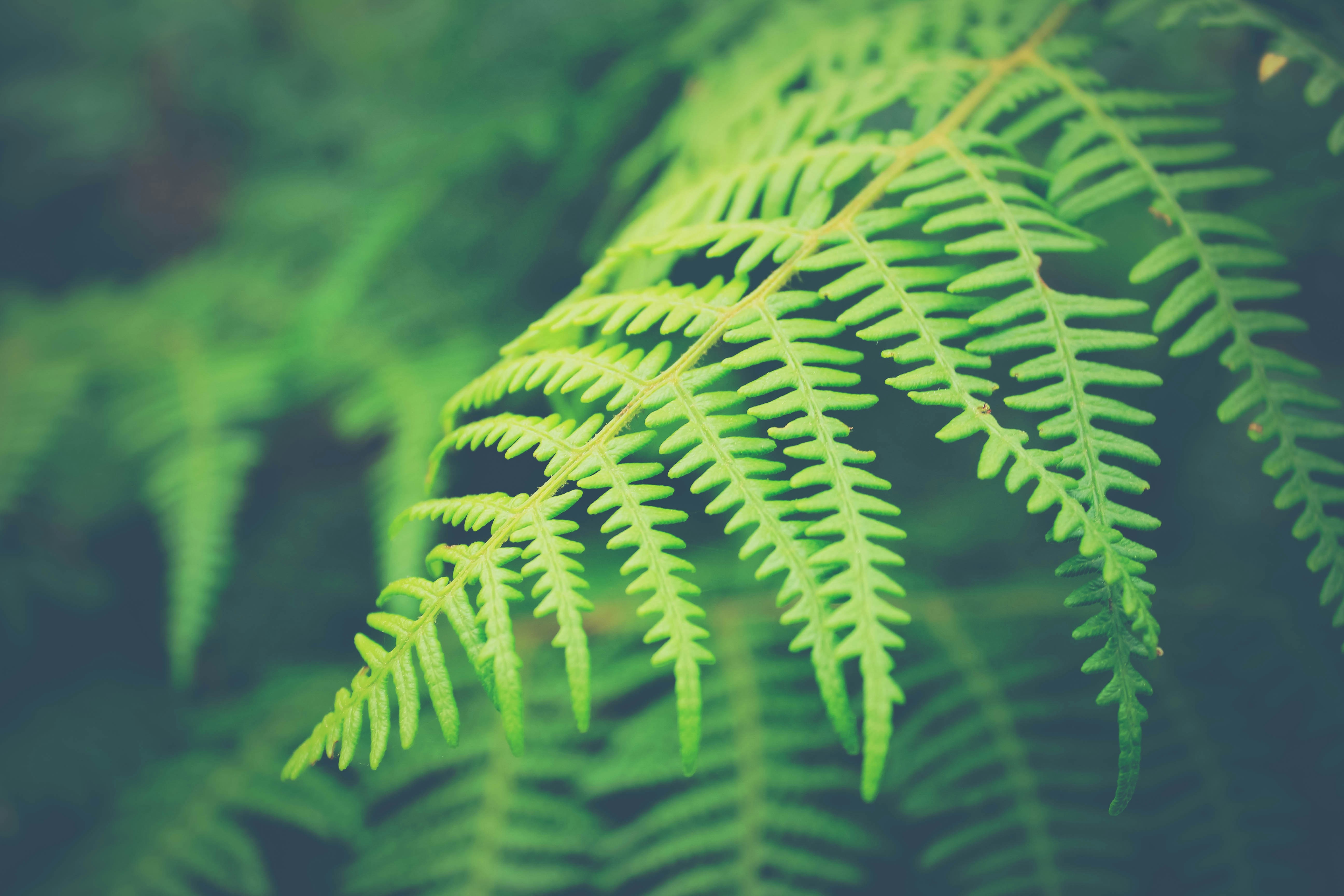 Free Unsplash photo from Marco Agas