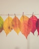 assorted-color lear hanging decor