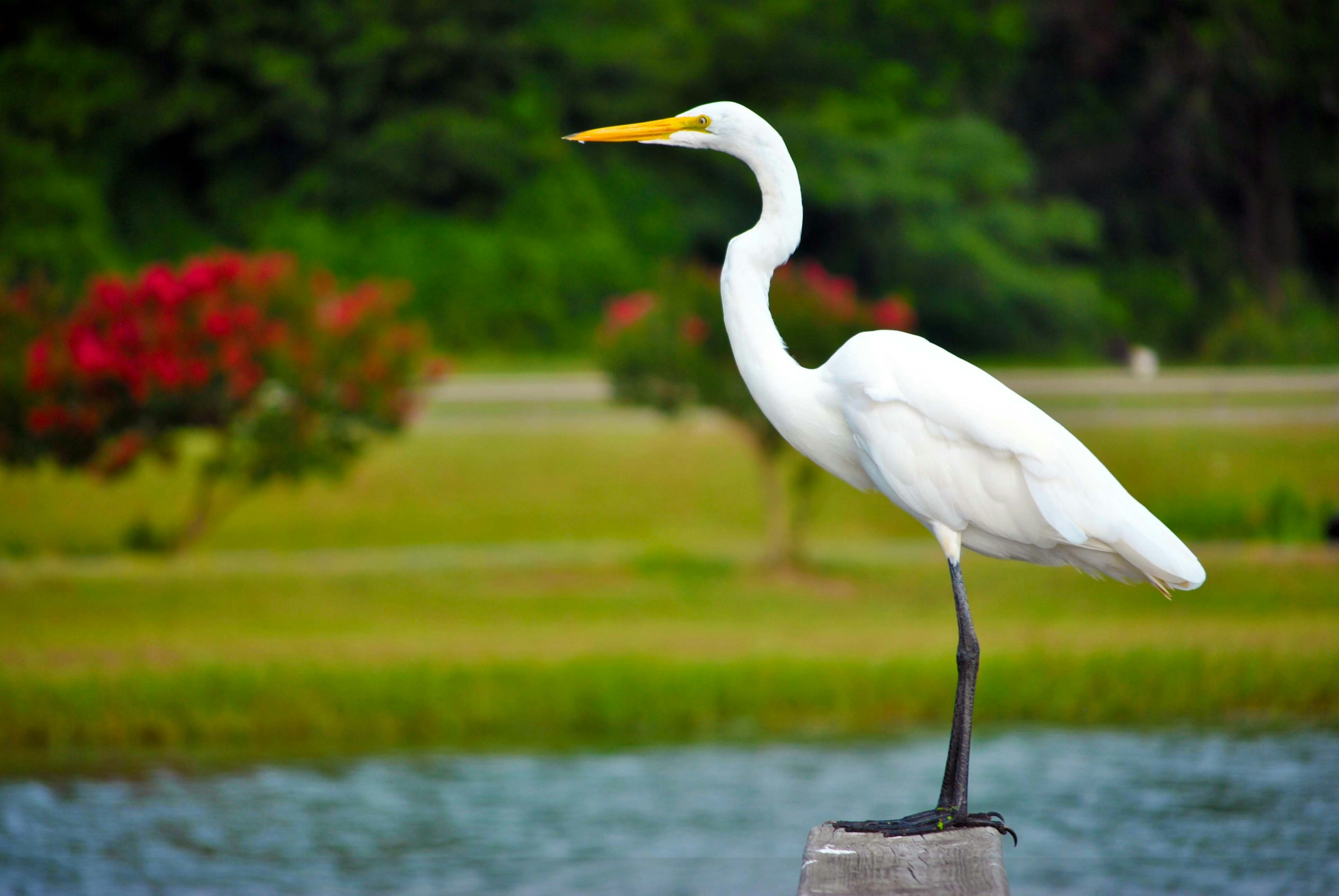 Free Unsplash photo from Byron  Burns