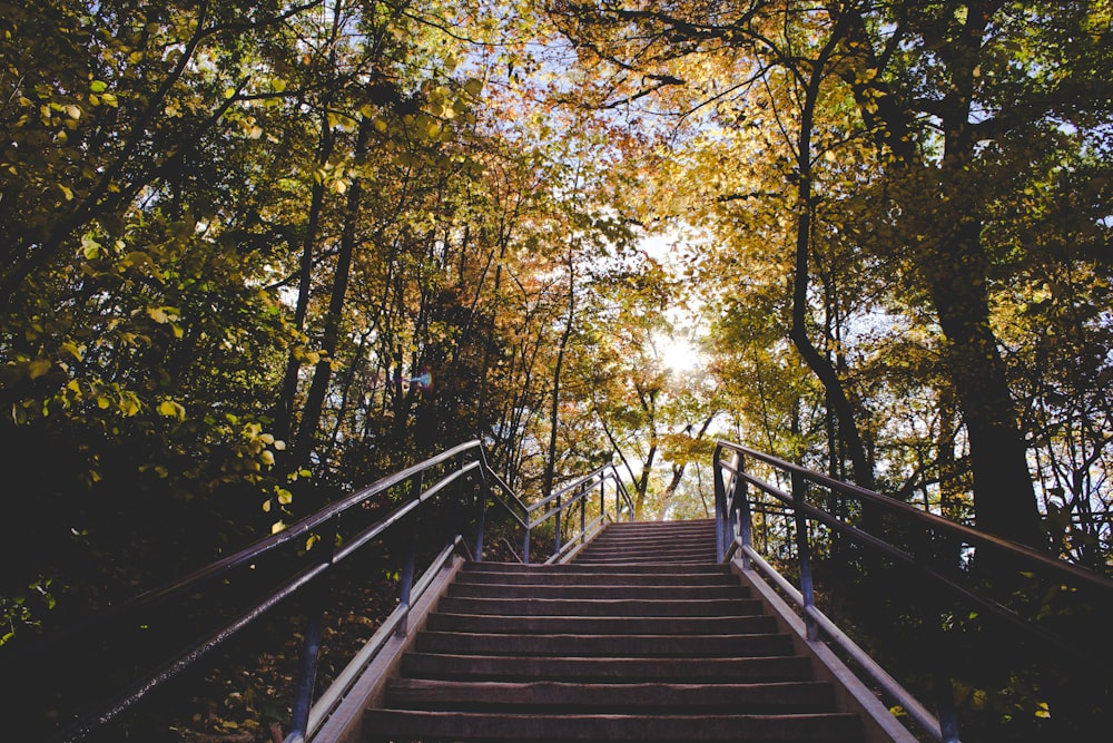 Blick auf die Treppe