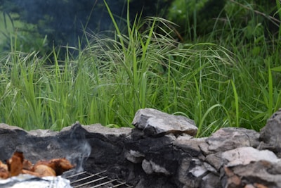 A backyard scene with an Apex Smoker in use, smoke gently rising as the sun sets.