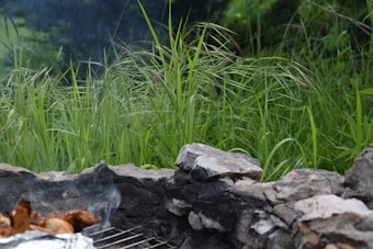 A stone fire pit filled with partially smoked meats in a lush green outdoor setting. Tall grass and dense vegetation form the background.