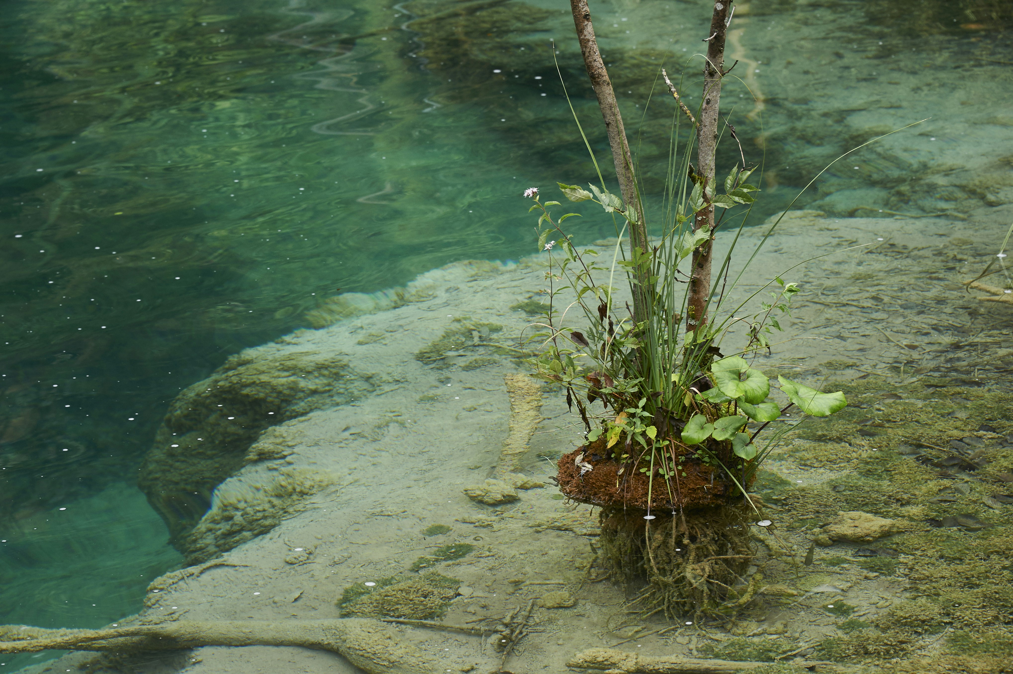 Free Unsplash photo from Harald Hofer