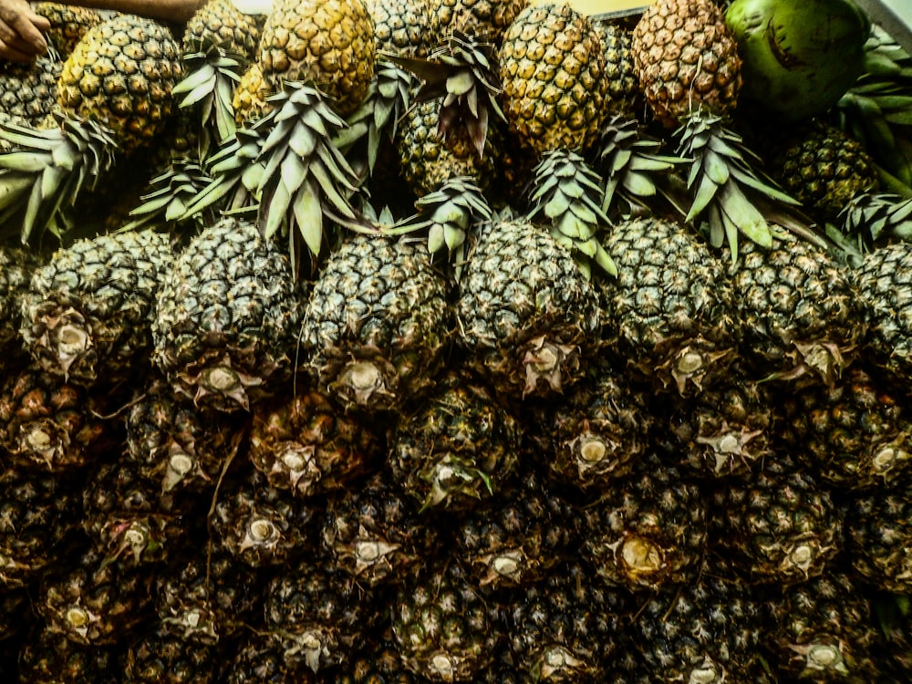 green and yellow pineapple fruits