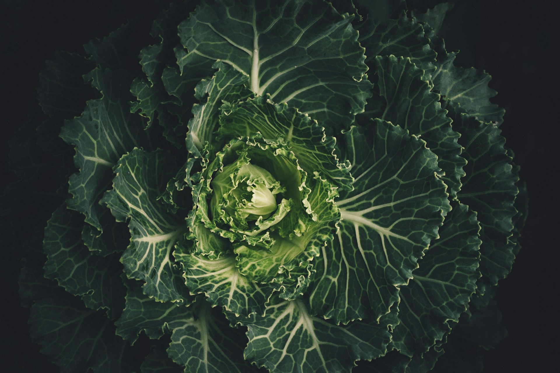 green vegetable