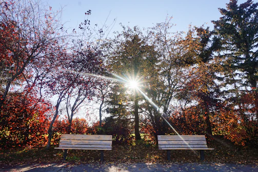 Sunset casting warm golden light over a quiet park bench surrounded by autumn leaves.