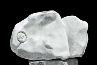 A large, smooth sculpture resembling a stylized fish head, carved from what appears to be marble or a similar stone. The texture is fine, with subtle shading and a visible eye detail. The background is a stark black, causing the white stone to stand out prominently.