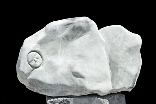 A large, smooth sculpture resembling a stylized fish head, carved from what appears to be marble or a similar stone. The texture is fine, with subtle shading and a visible eye detail. The background is a stark black, causing the white stone to stand out prominently.