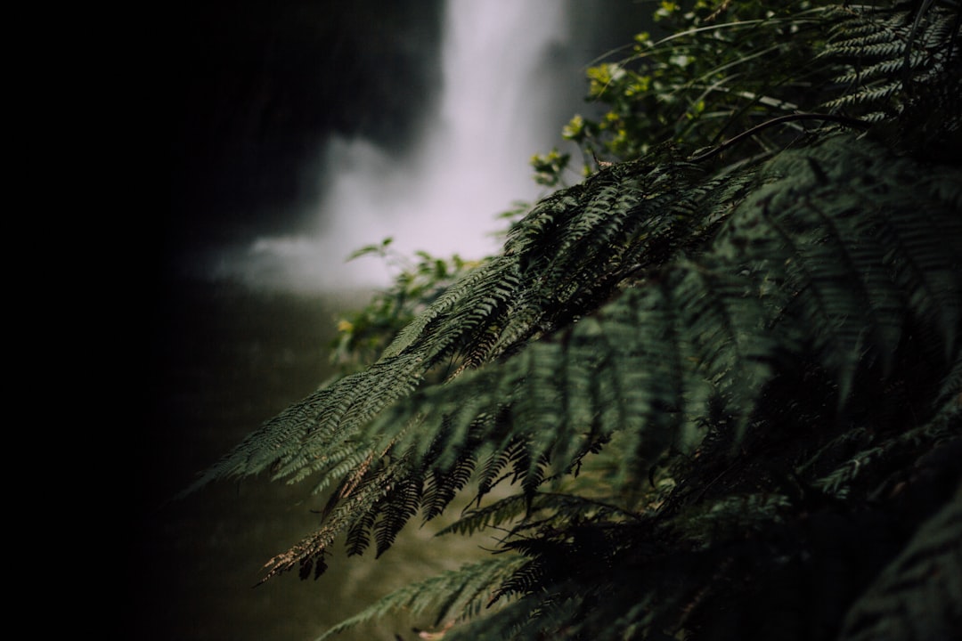 Waterfall photo spot Bridal Veil Falls Owharoa Falls Waitawheta Road