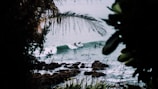 A group of surfers catching waves near the lush coast of Tayrona National Park.