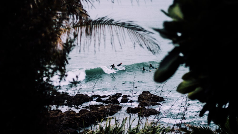 people riding on surfboards