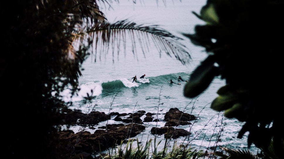 Several surfers are riding waves in the ocean, framed by vegetation in the foreground including palm trees and other plants. The shoreline features rocky formations, and the scene appears to be viewed from an elevated position.