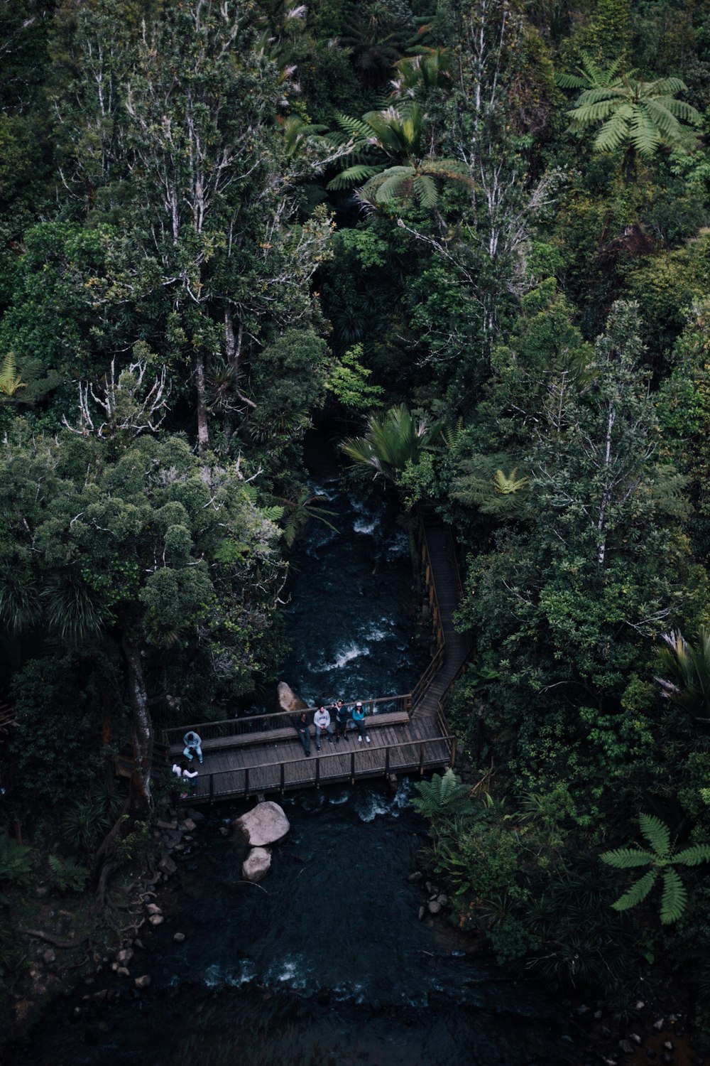 people standing near bridge viewing lake surrounded with tall and green trees