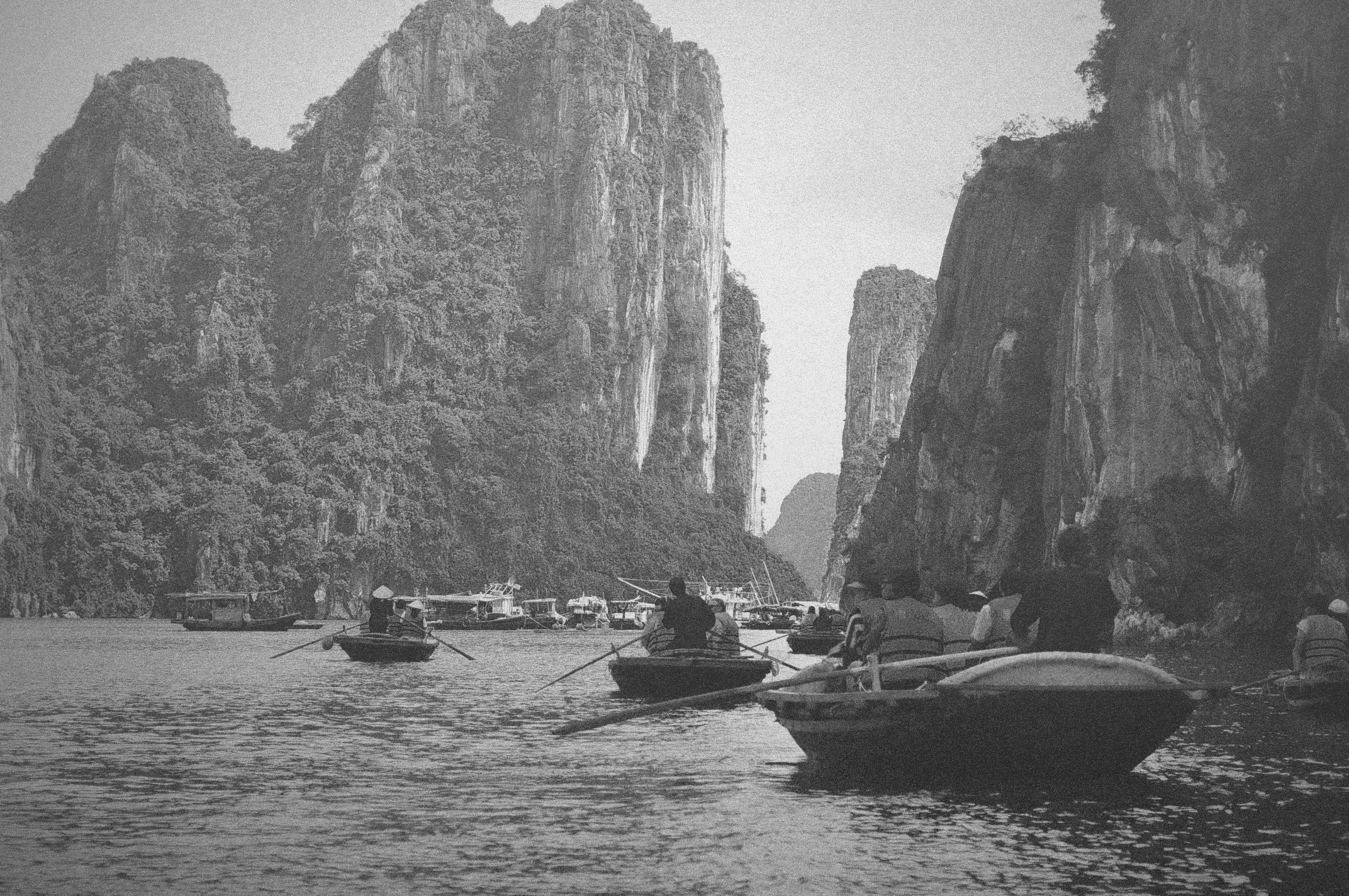 Free Unsplash photo from Narasty Amalia