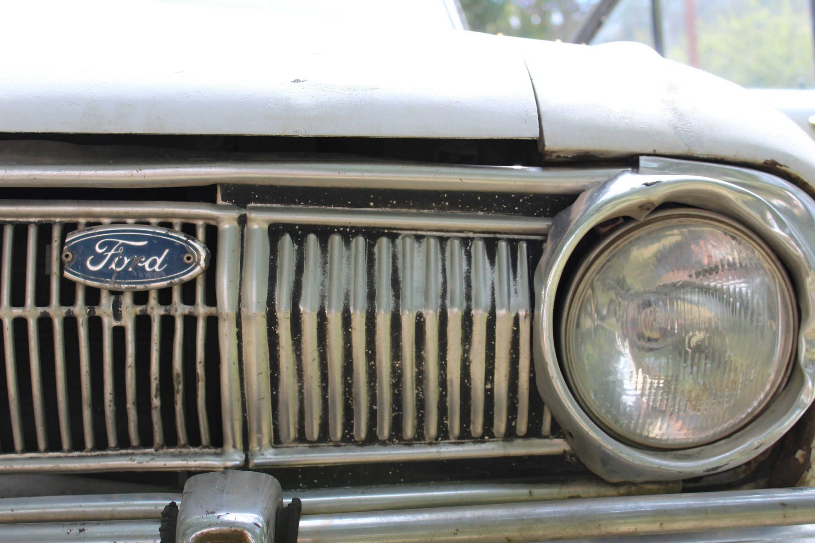 Free Unsplash photo from juan andres adamicska