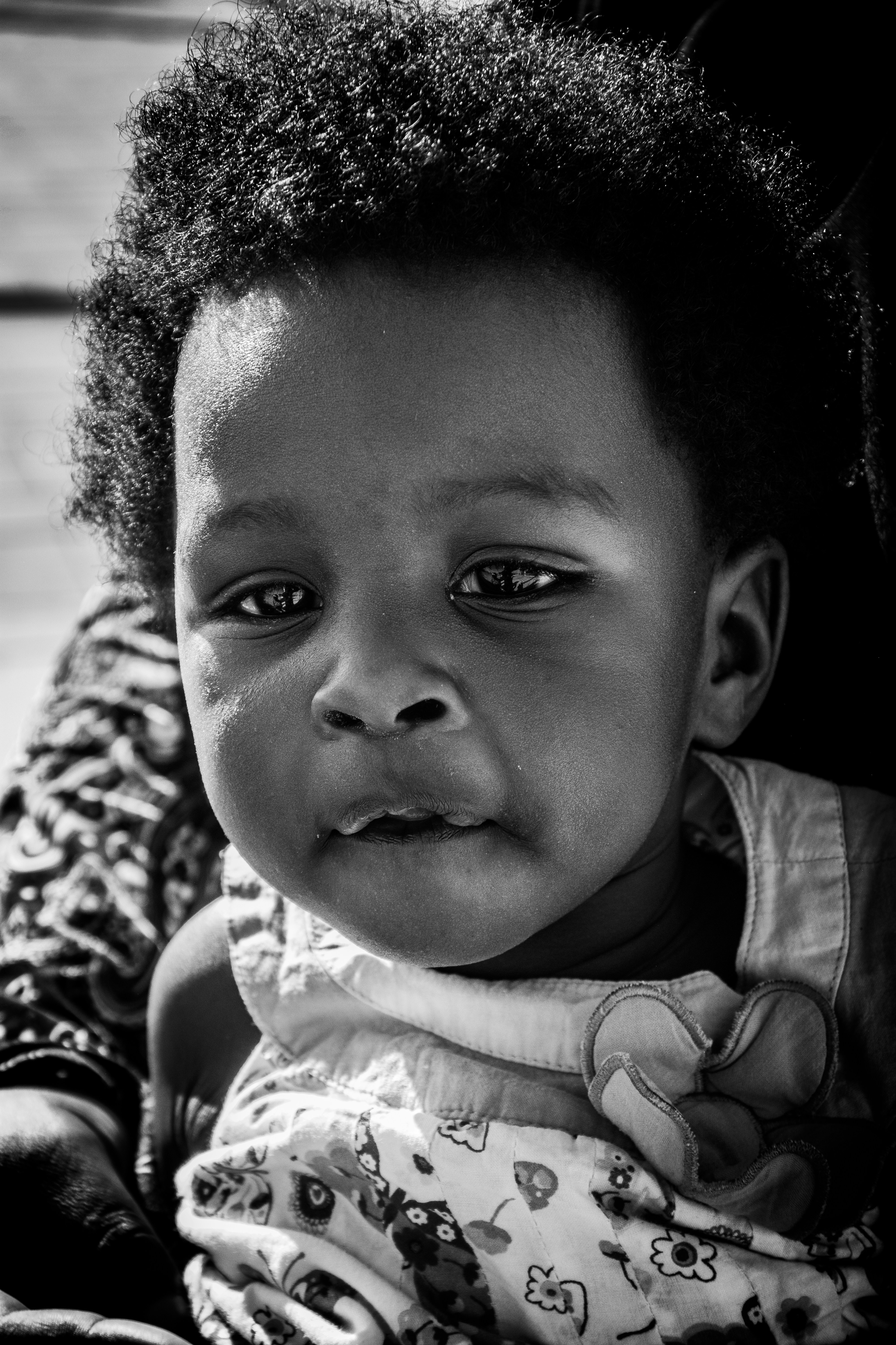 Free Unsplash photo from David Okao