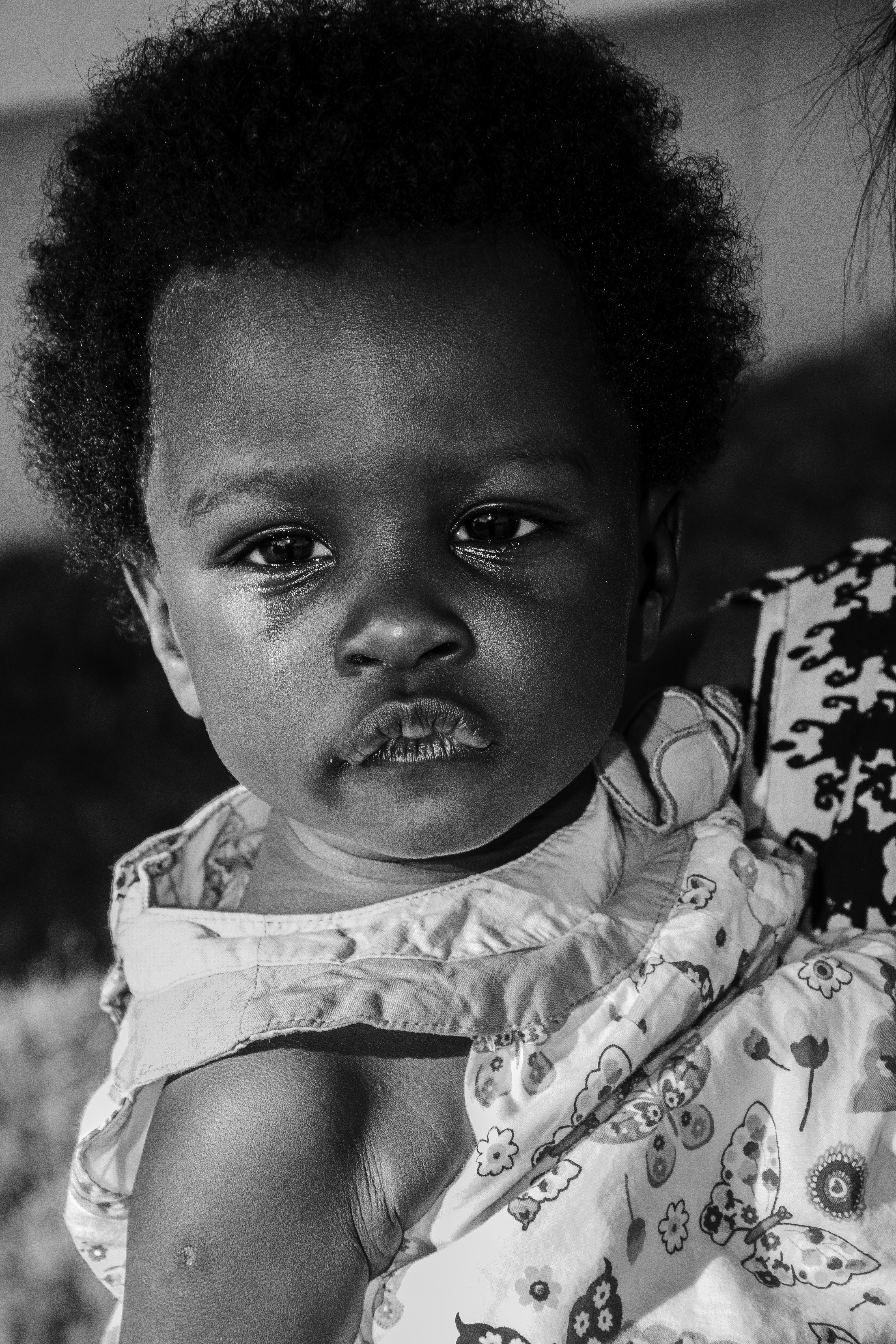 Free Unsplash photo from David Okao