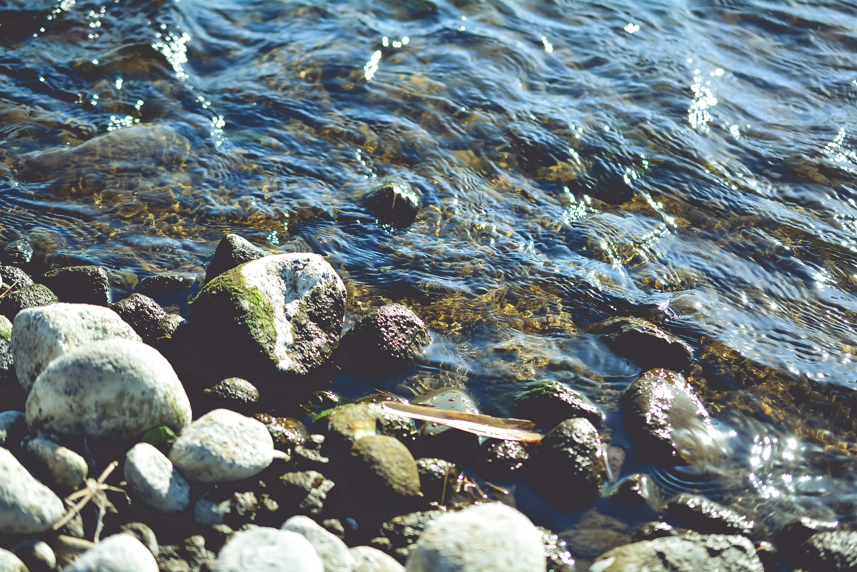 Free Unsplash photo from Richard De La Costa