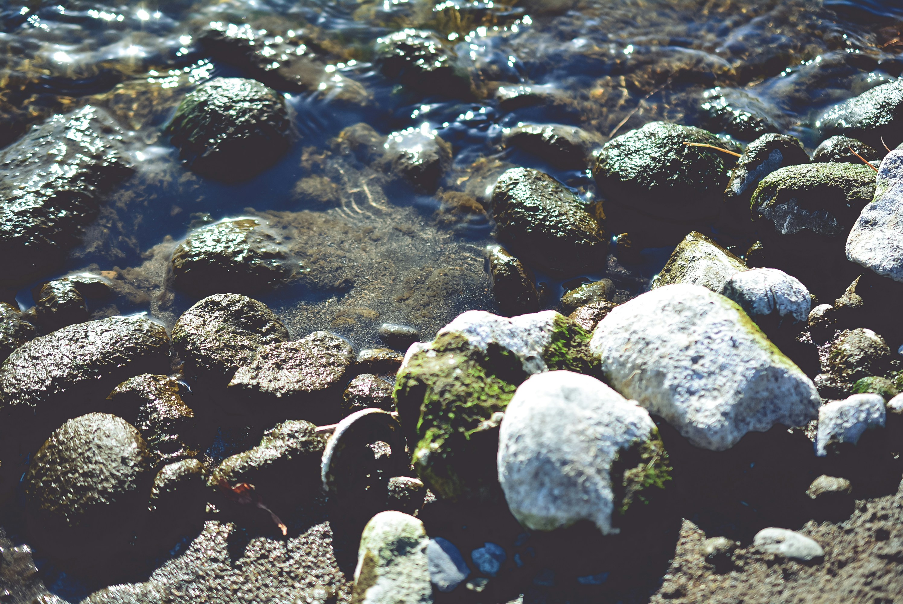 Free Unsplash photo from Richard De La Costa