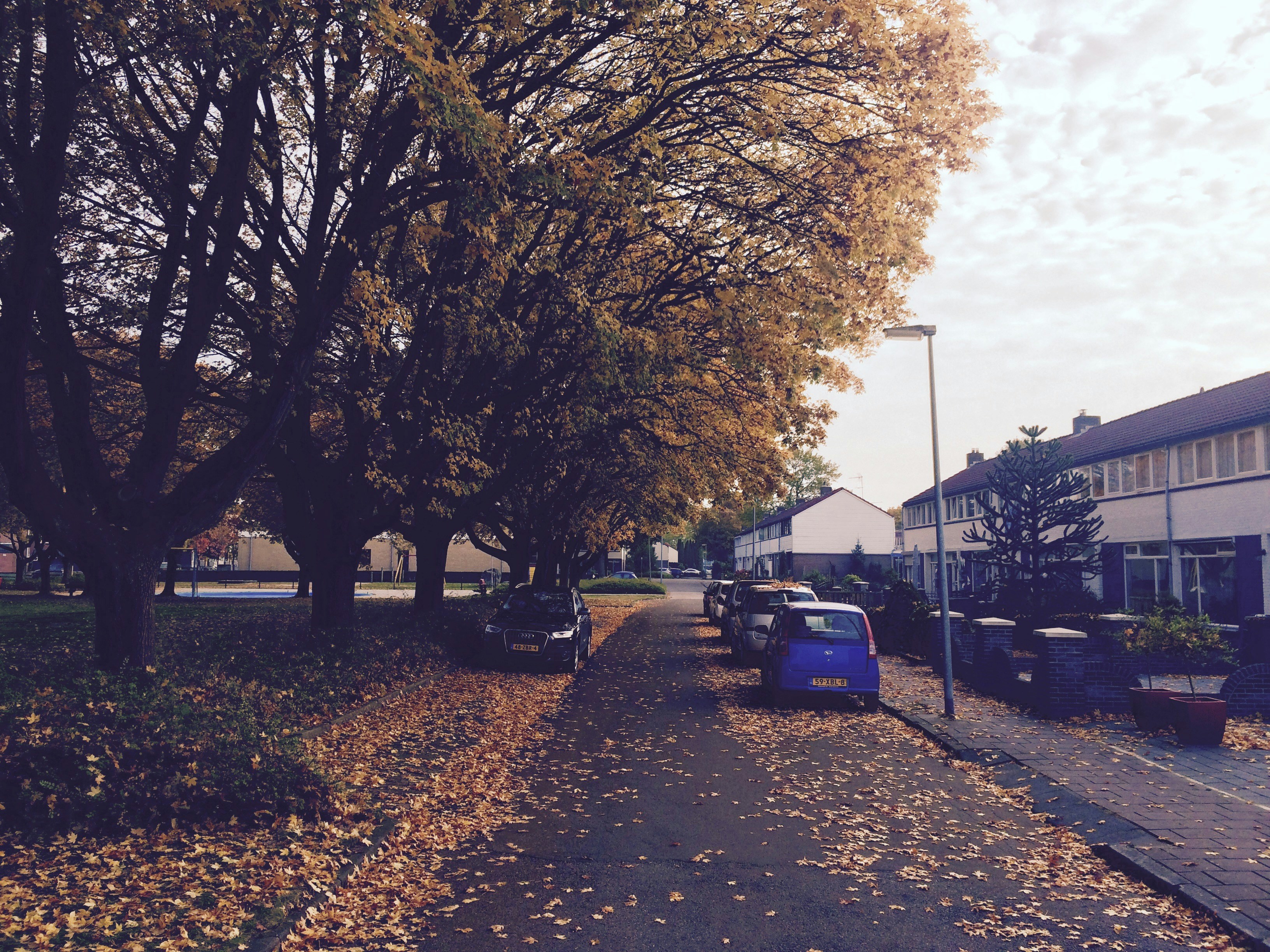 Free Unsplash photo from Daniel Knegt