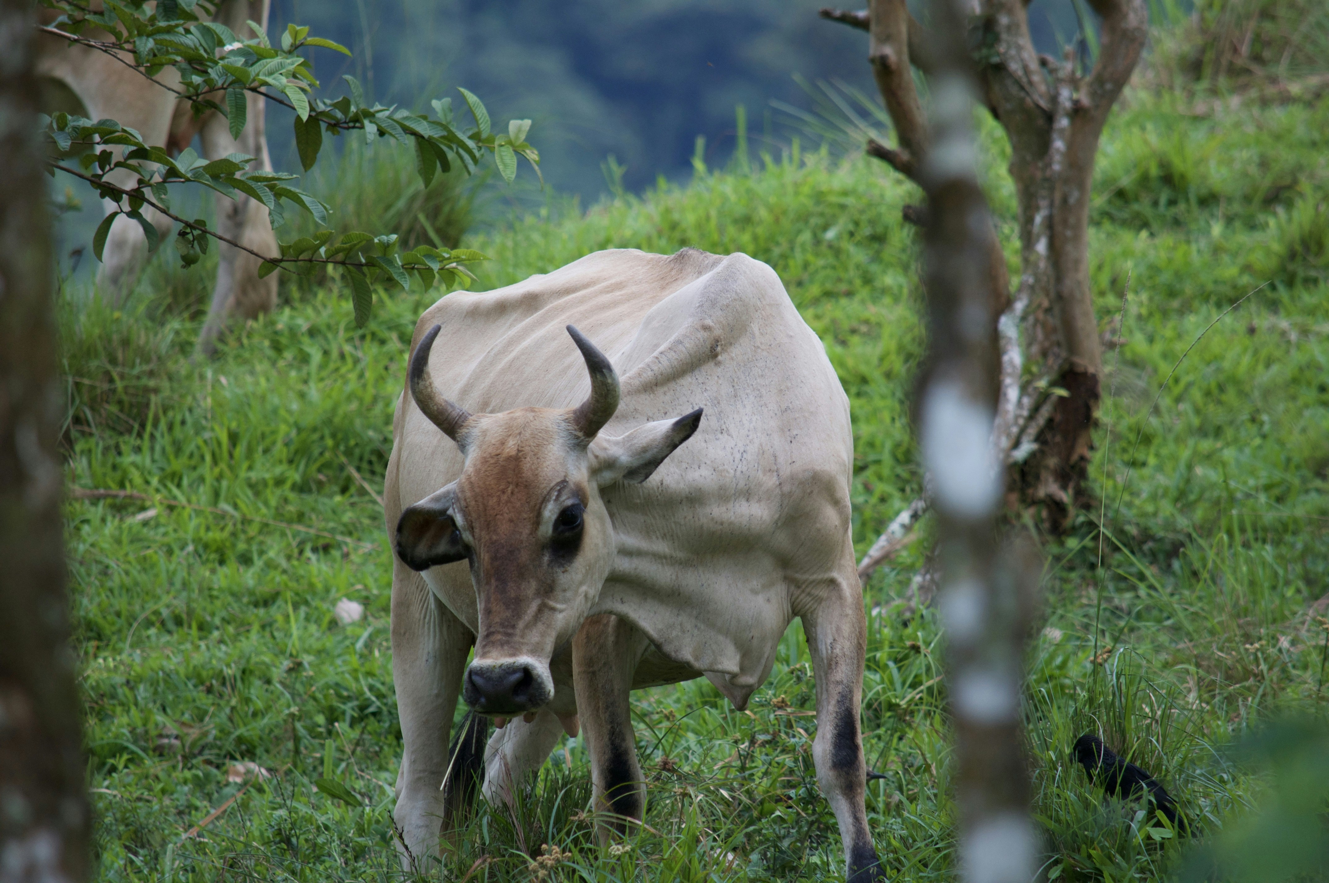 Free Unsplash photo from Lucy Pinon