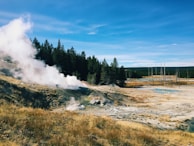 A geothermal landscape with steam rising from the ground is surrounded by a forest of pine trees. Patches of barren land and small bodies of water are visible, contributing to the rugged terrain. The sky is clear and blue, highlighting the natural beauty of the area.