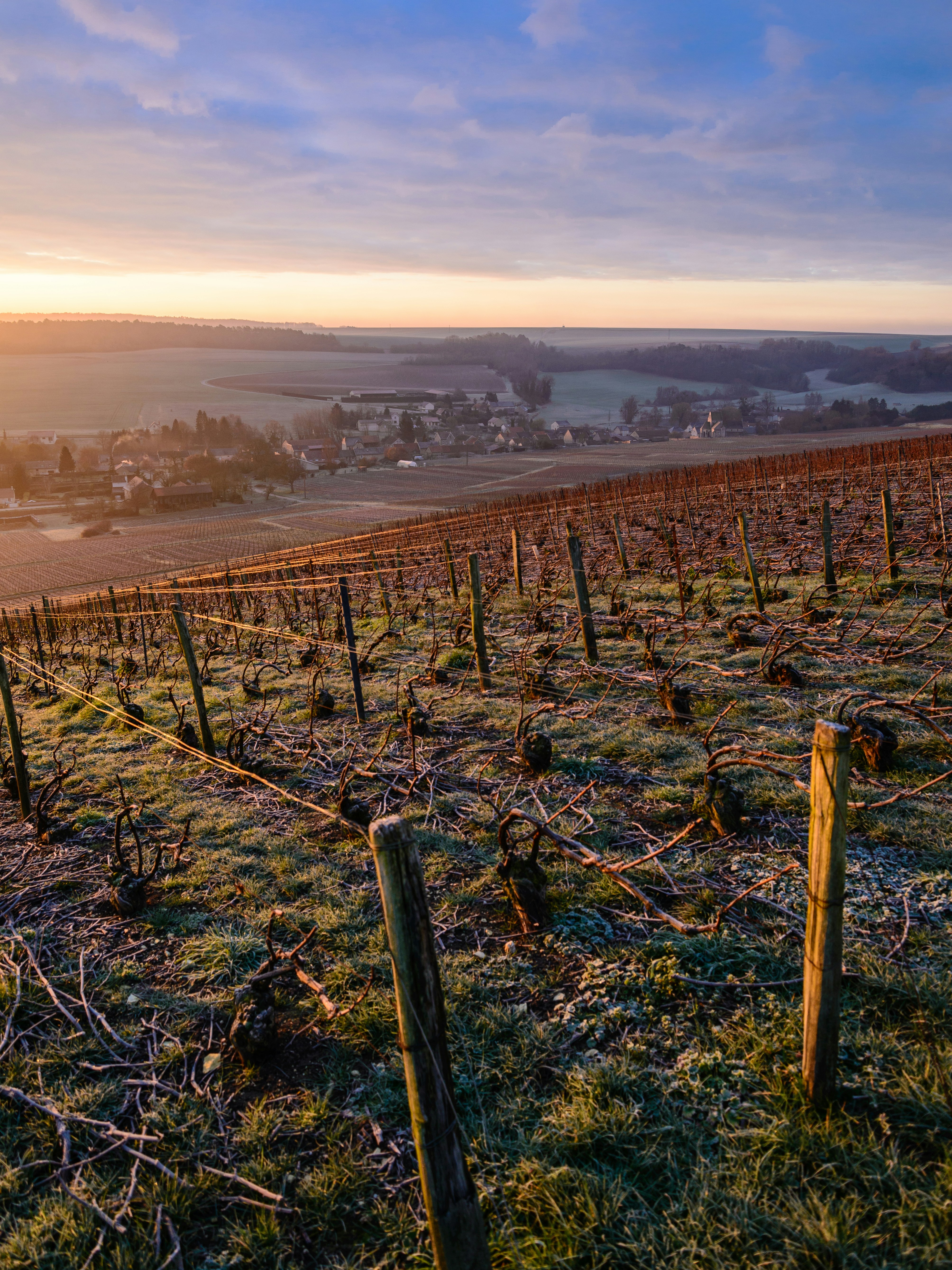 Free Unsplash photo from Cedric Brule