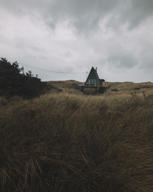 gray and brown wooden house under cloudy sky in Pacific City United States