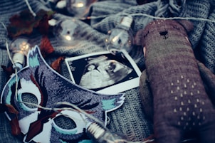 ultrasound photo surrounded by string lights
