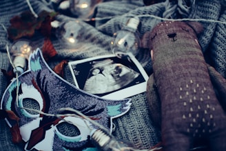 ultrasound photo surrounded by string lights