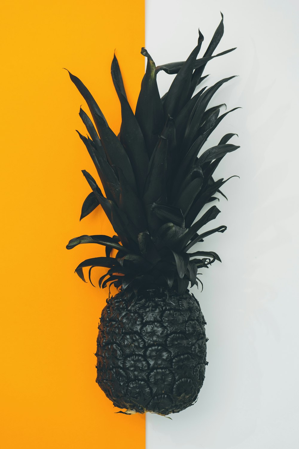 frutto dell'ananas nero