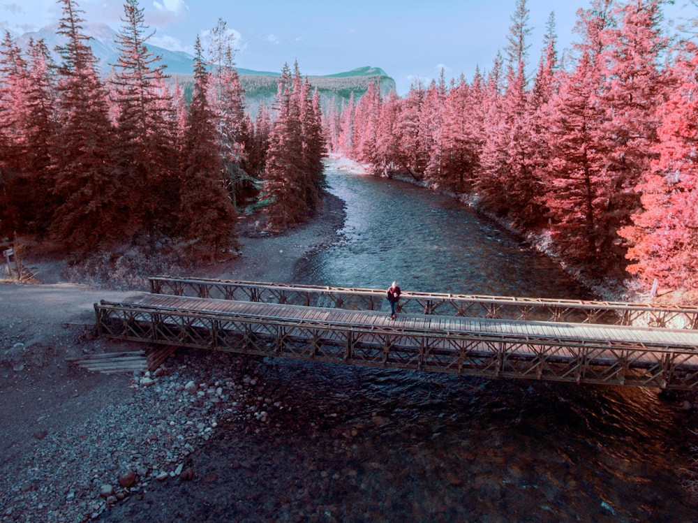 person walking in brown wooden bridge during day time