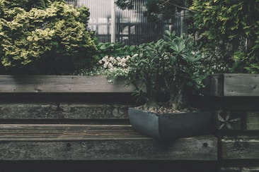 A wooden bench is integrated into a lush garden area, with various green plants and foliage surrounding it. The scene includes a square planter box with succulents, and a backdrop of bushes and small flowers. The environment appears serene and natural.