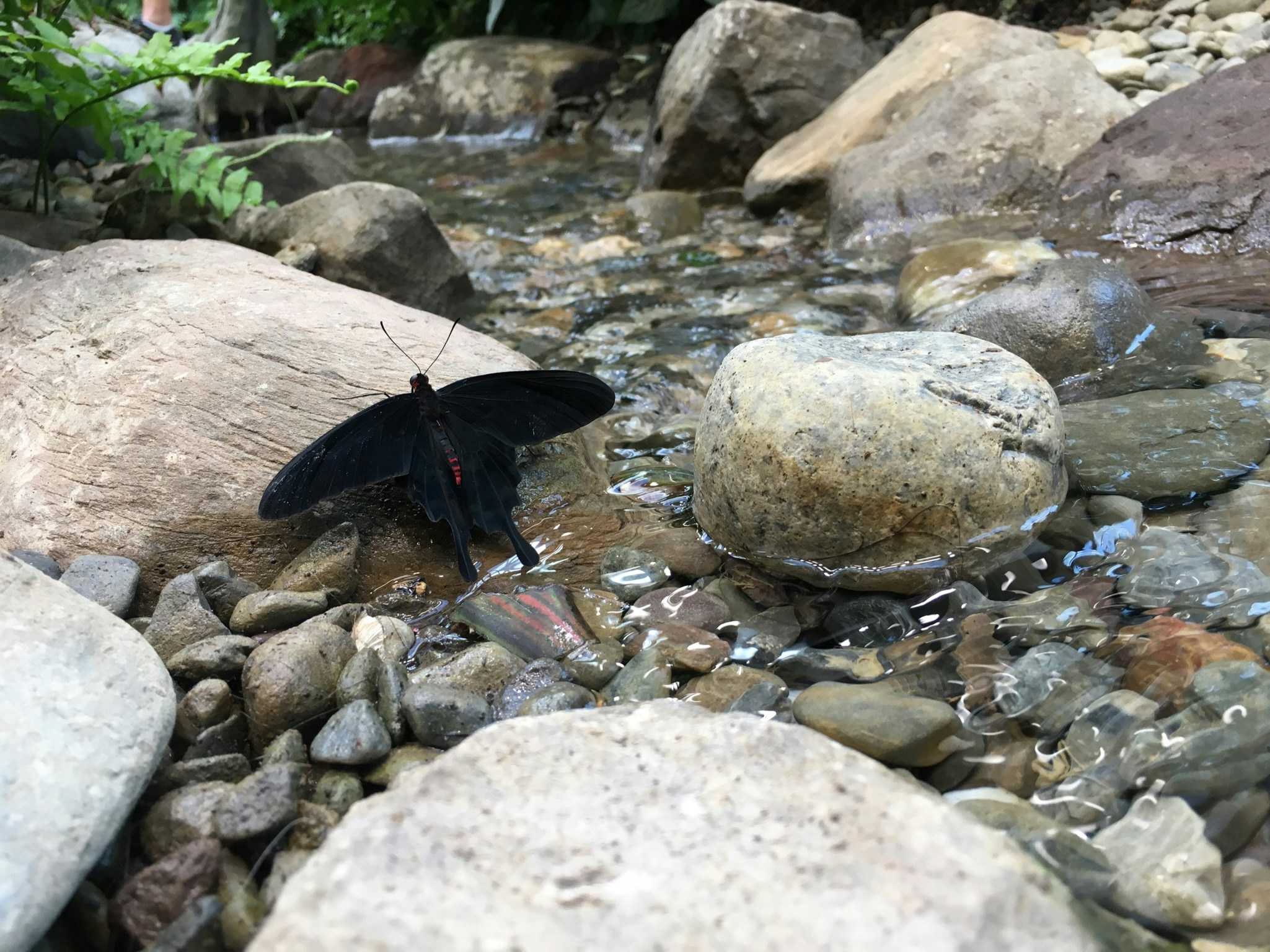 Free Unsplash photo from Dylan Lam