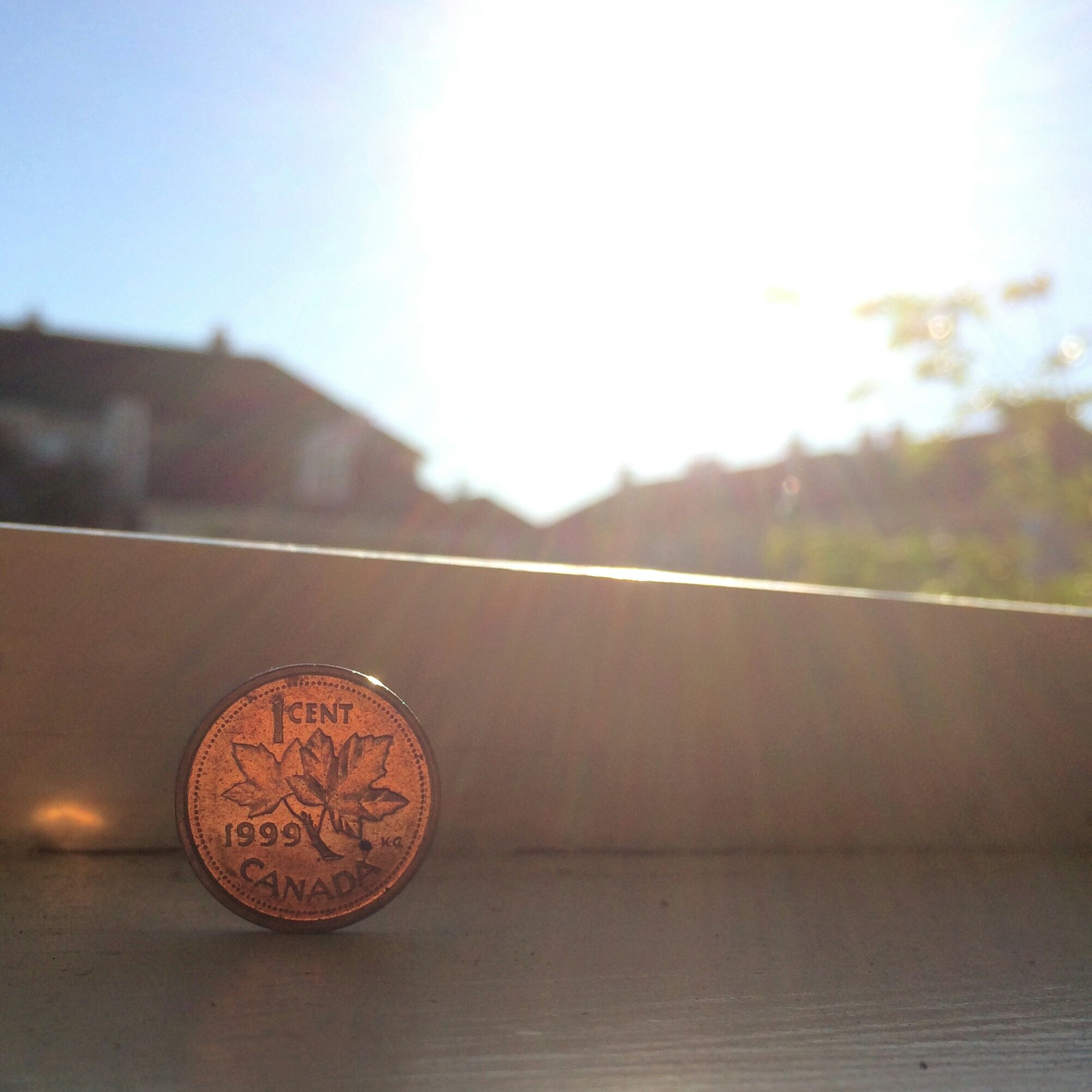 Free Unsplash photo from Dylan Lam