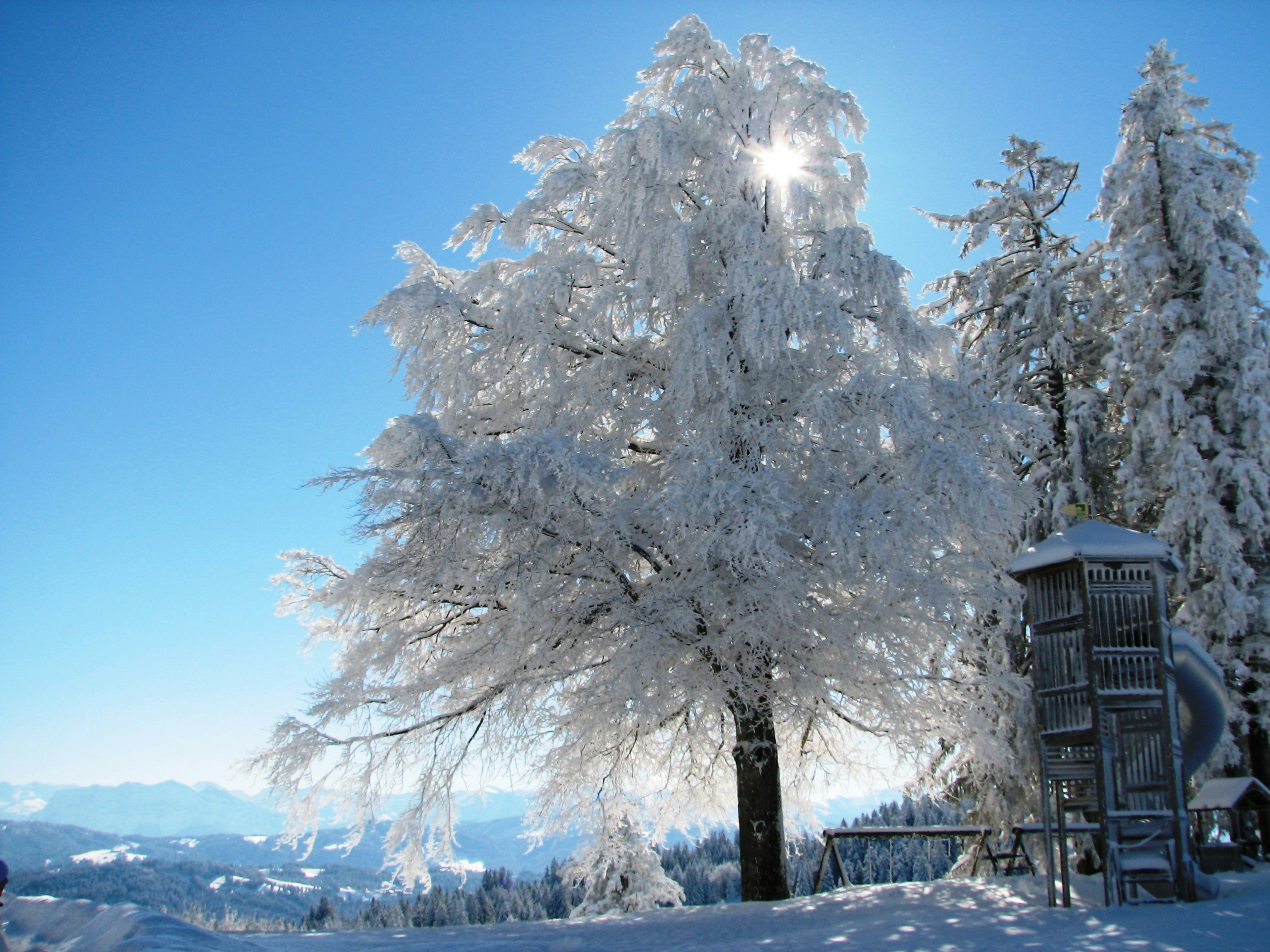 Free Unsplash photo from Syed Sarosh Sohail