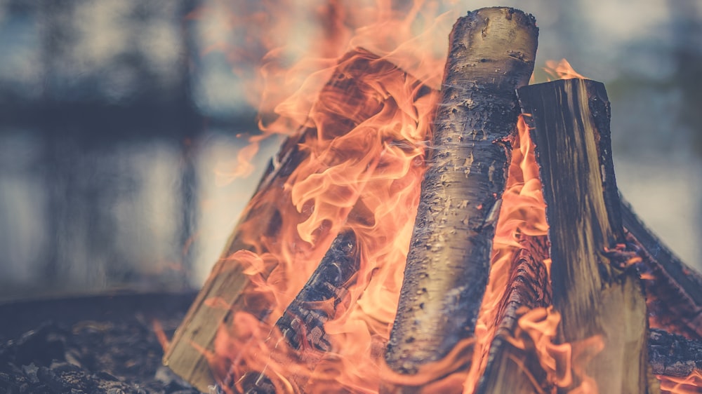 Fotografia di messa a fuoco della legna da ardere che brucia durante il giorno