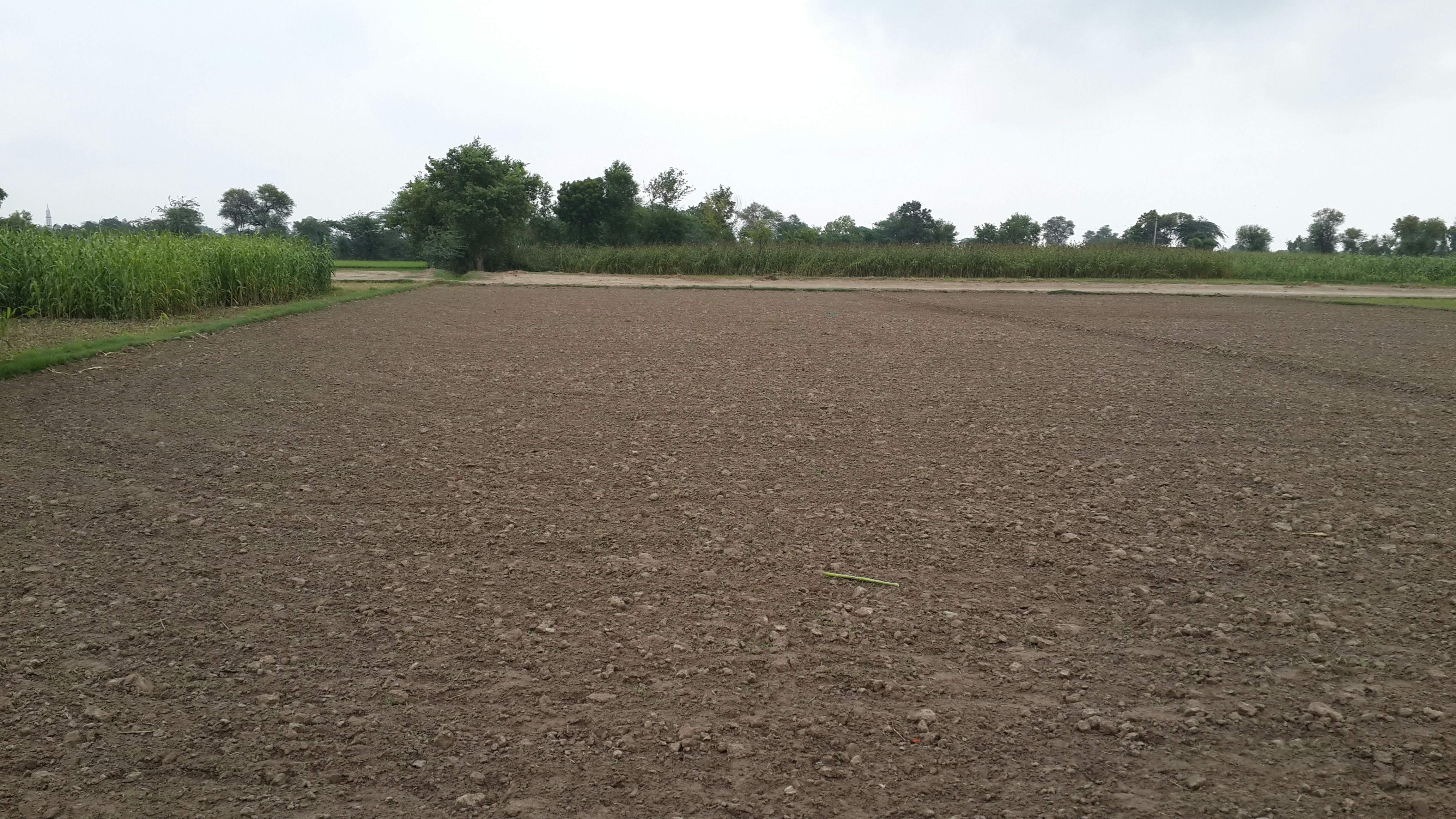 Free Unsplash photo from Muhammad Tayyab Tariq