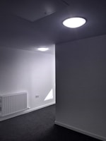 Bright room featuring soft, plush carpet freshly installed by Pro Home Flooring.