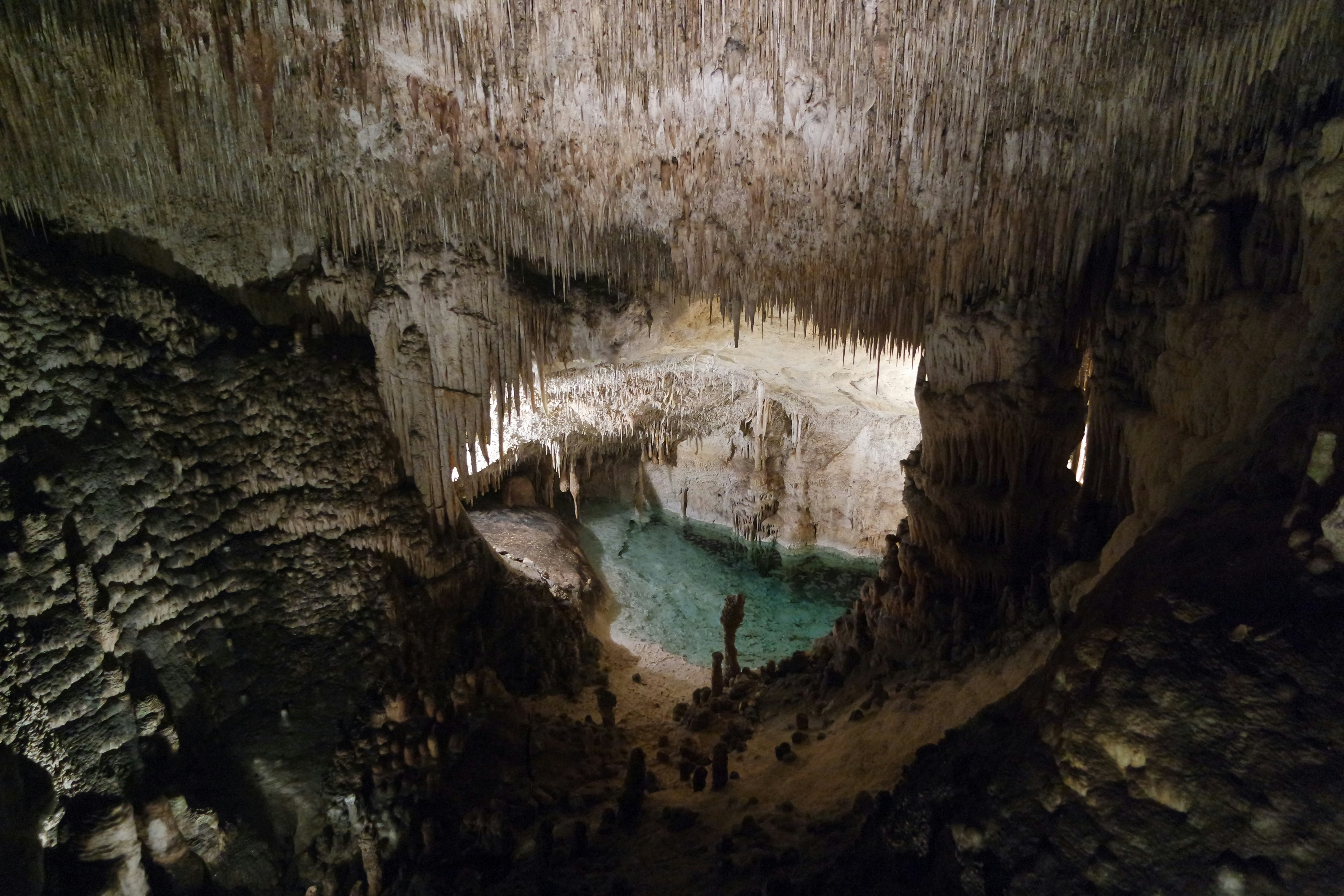 Free Unsplash photo from Patrick Jansen