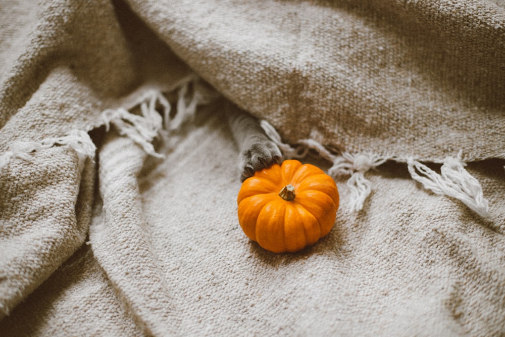 pumpkin on brown canvas textile