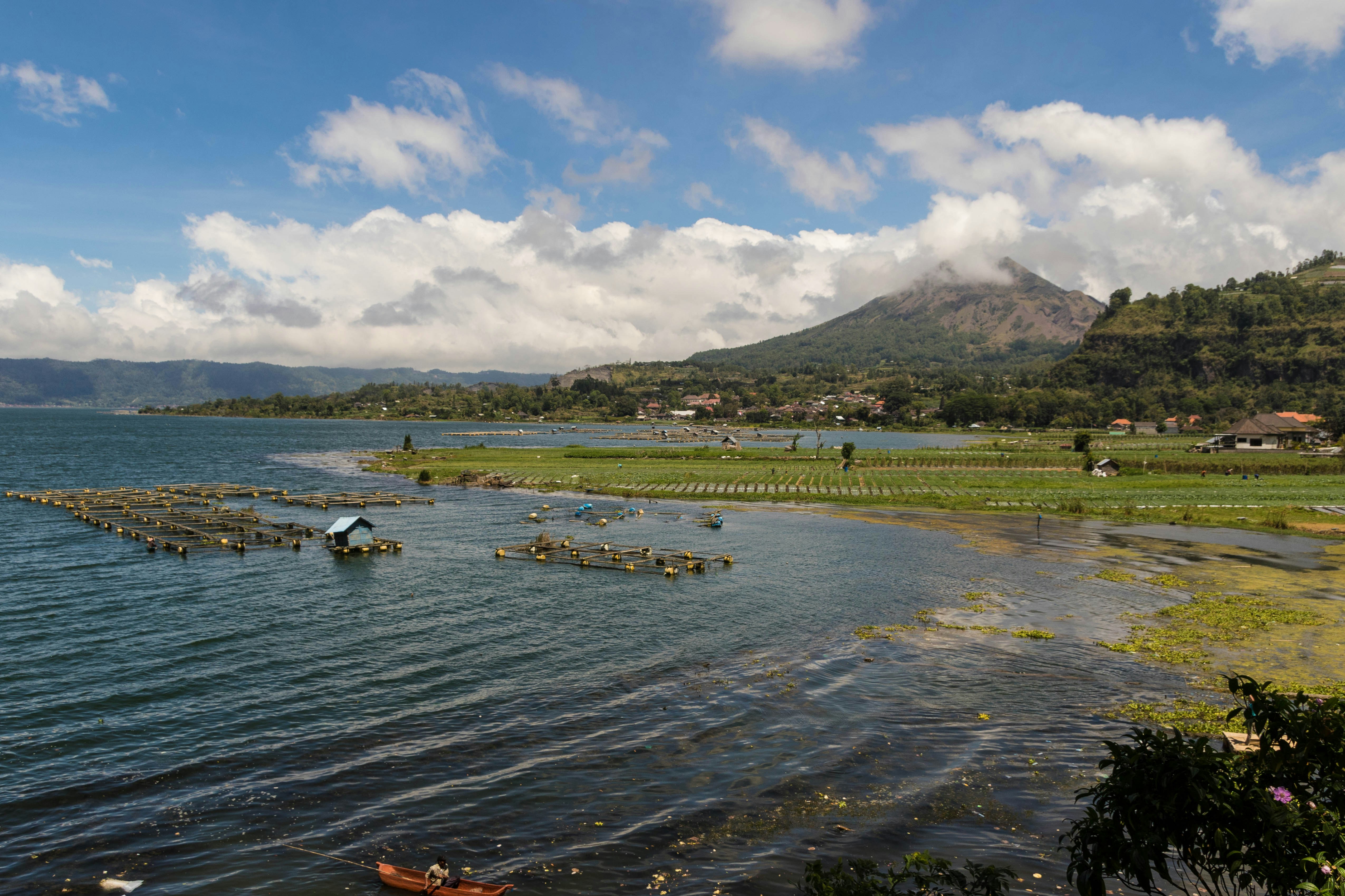 Free Unsplash photo from Adam Grabek