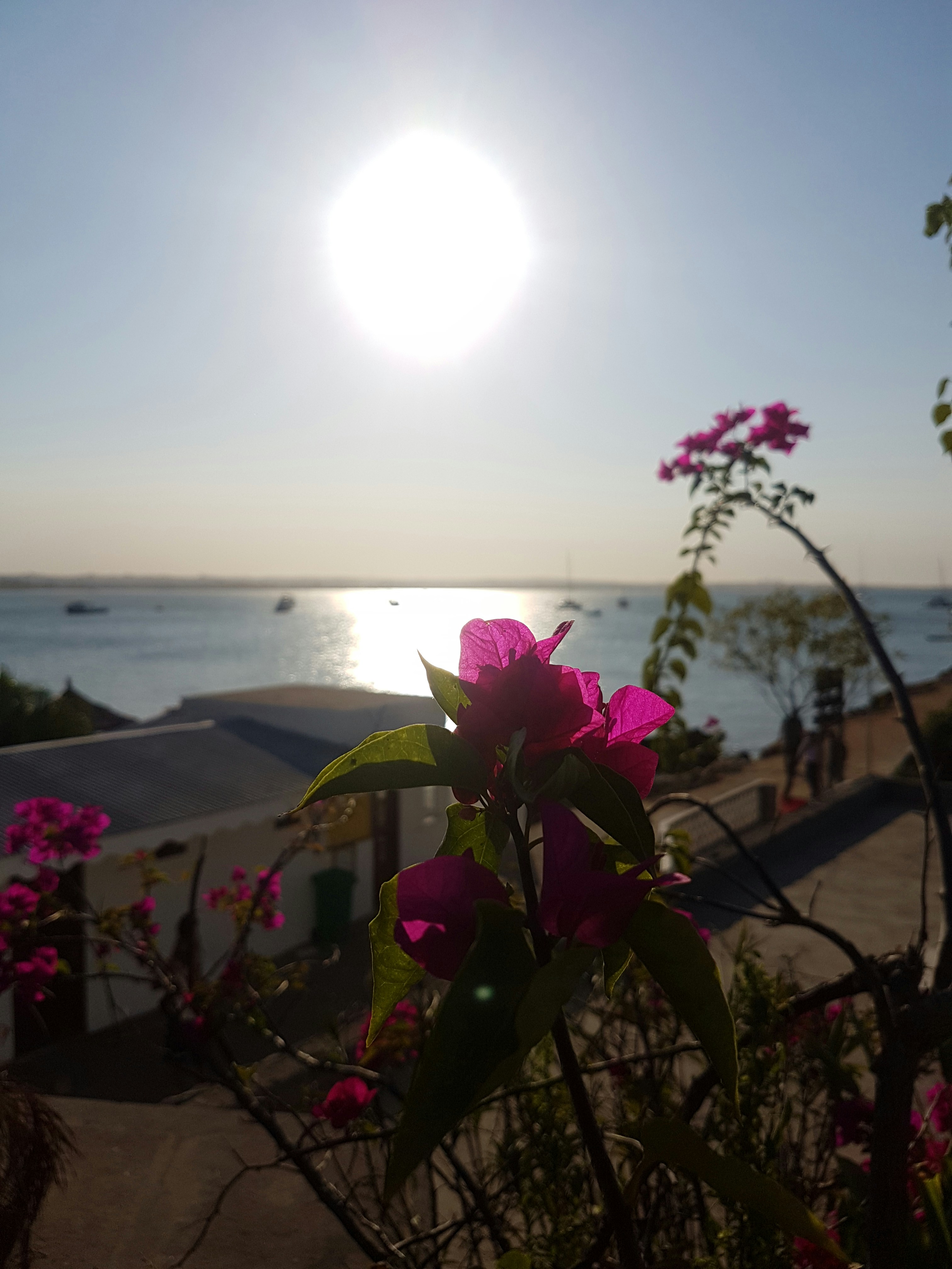 Free Unsplash photo from Reem Nahdy