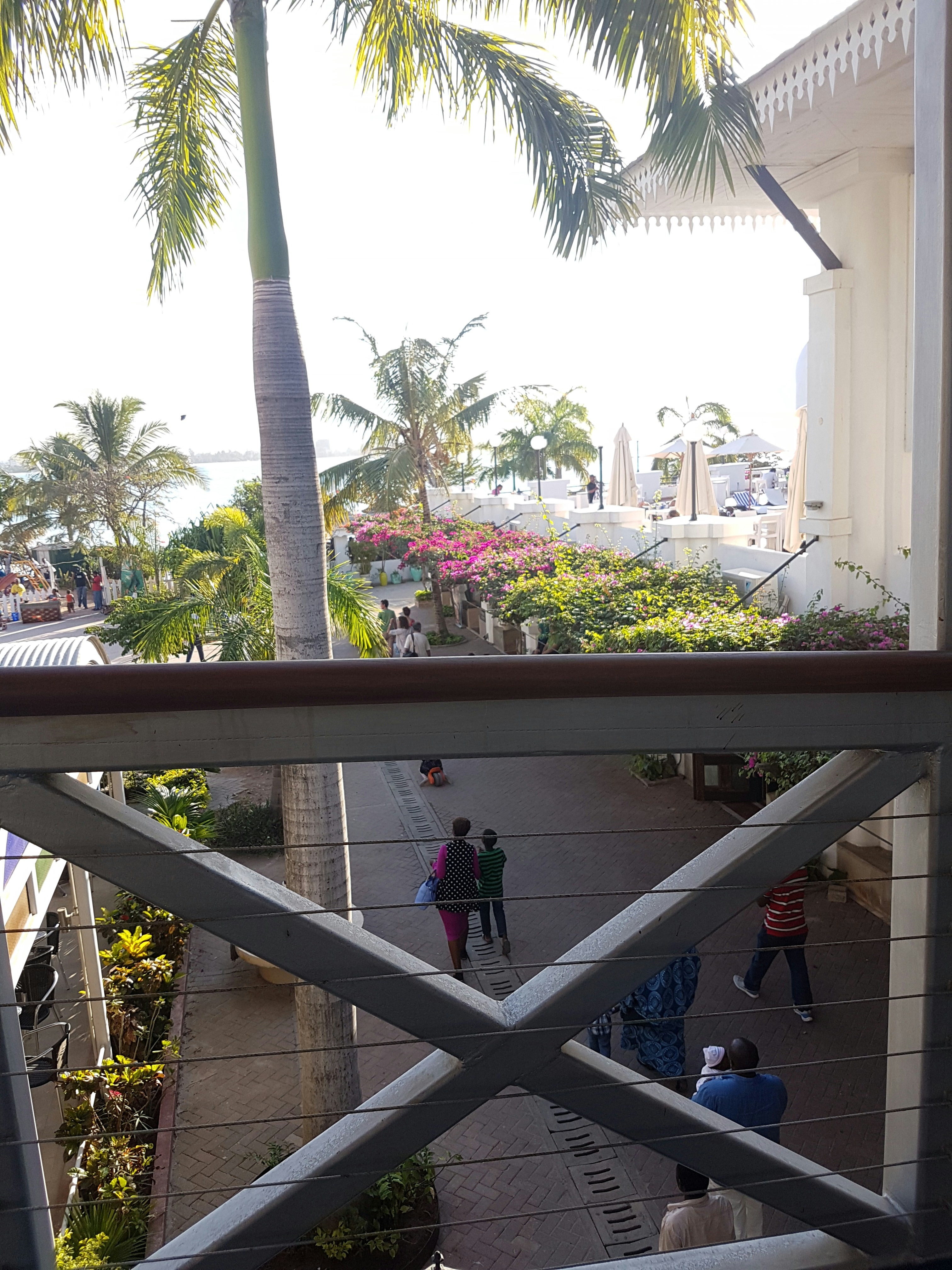 Free Unsplash photo from Reem Nahdy