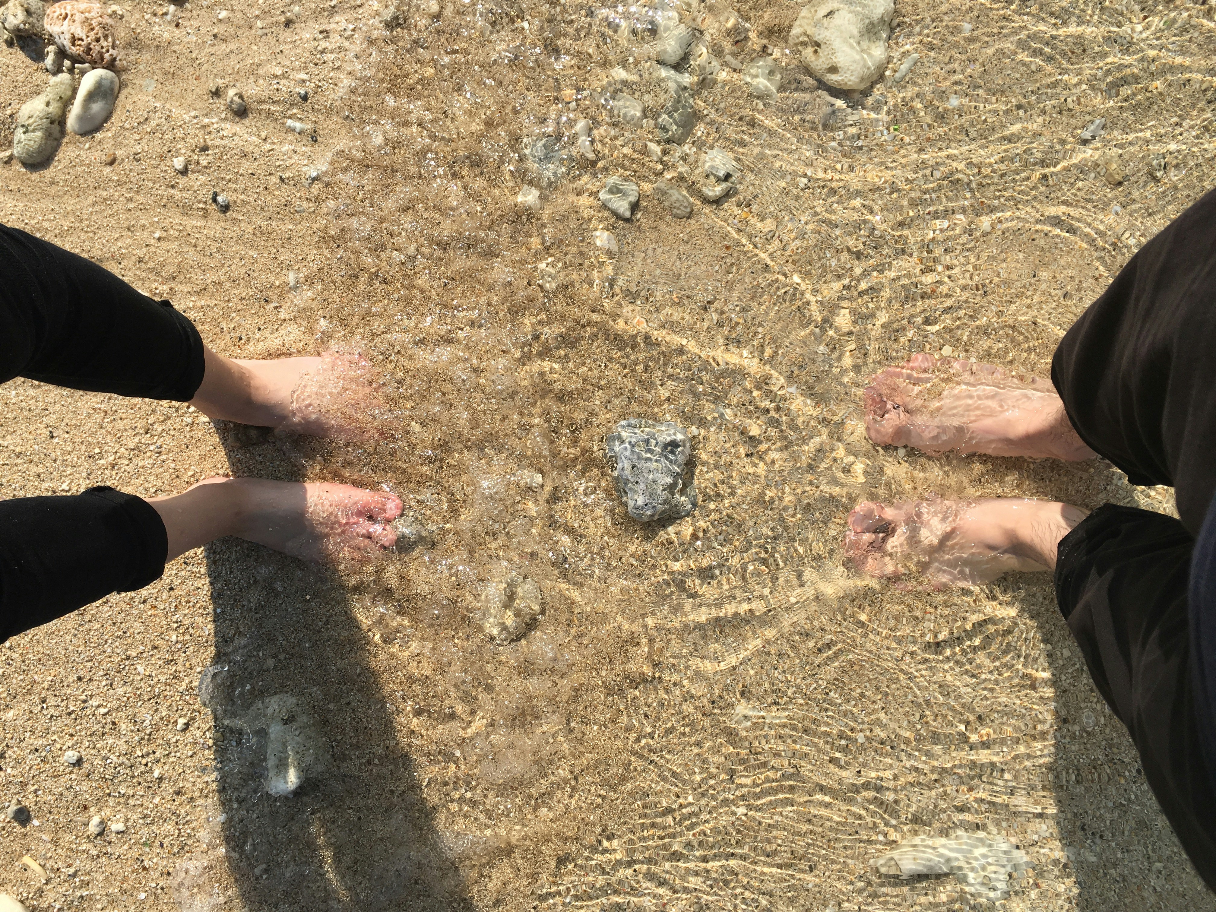 Free Unsplash photo from Archerwind Chiang