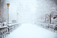 road covered by snow near vehicle traveling at daytime