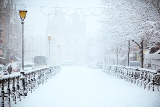 road covered by snow near vehicle traveling at daytime