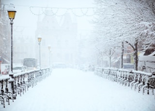 road covered by snow near vehicle traveling at daytime