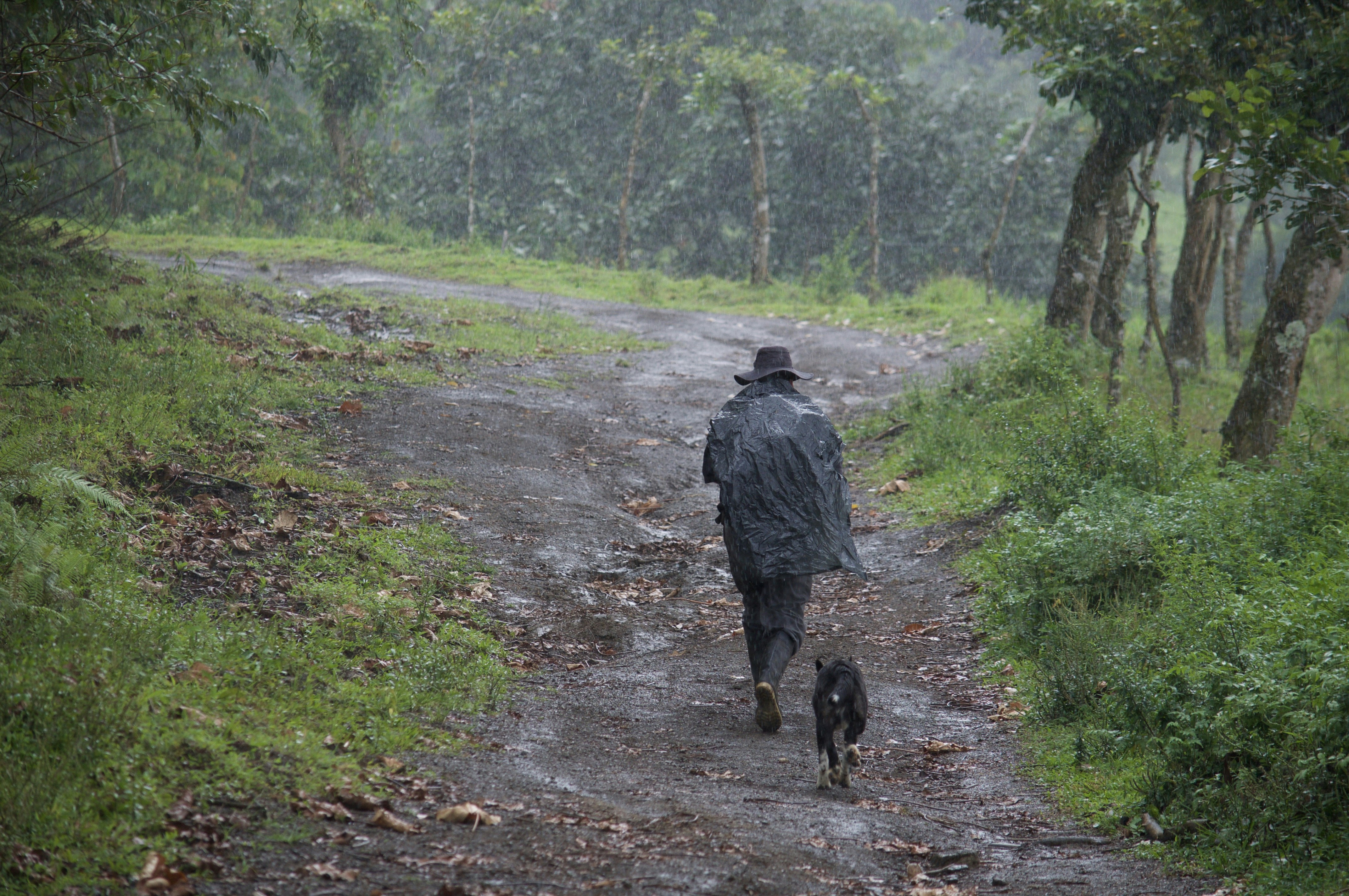 Free Unsplash photo from Lucy Pinon