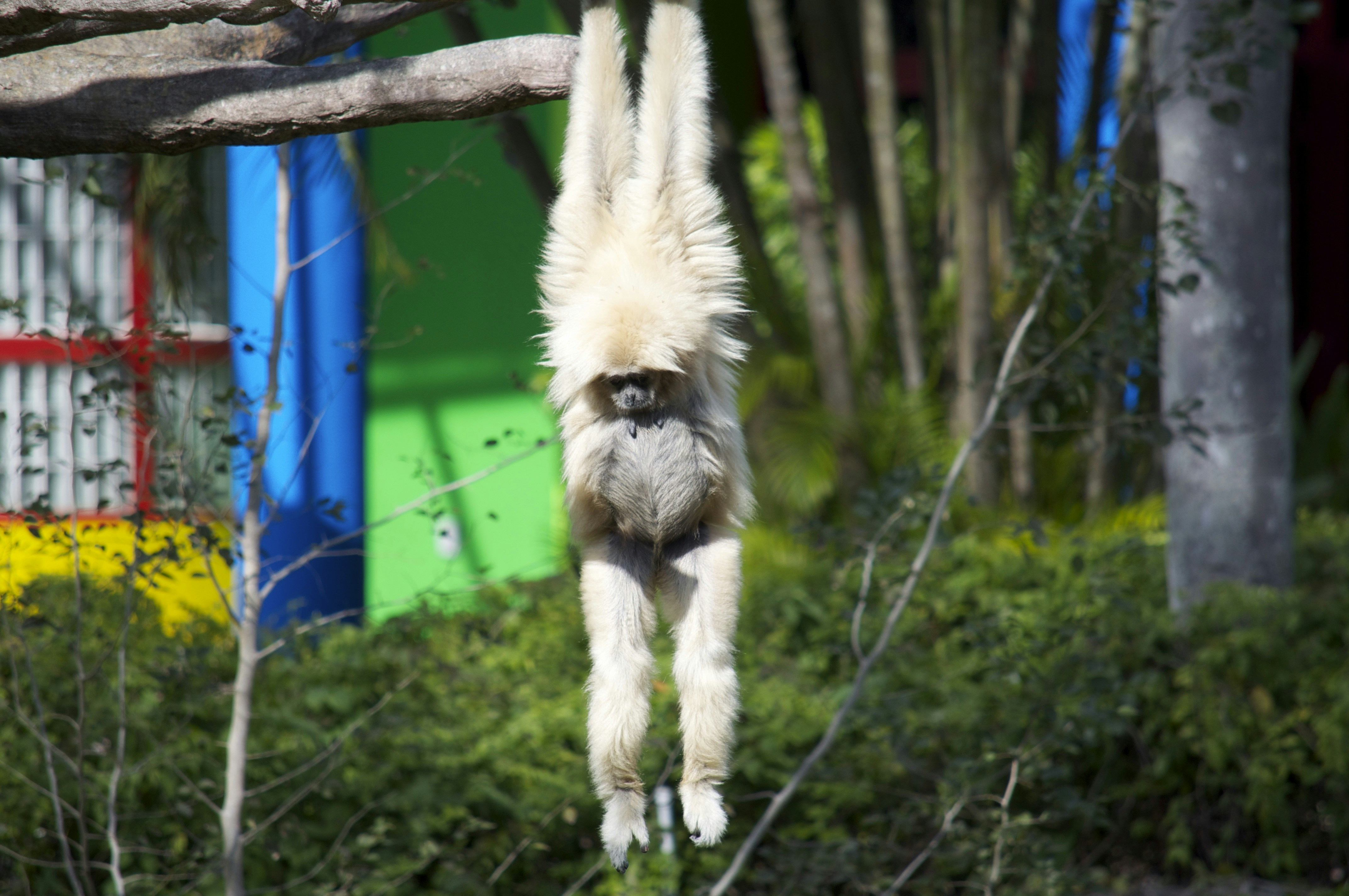 Free Unsplash photo from Lucy Pinon